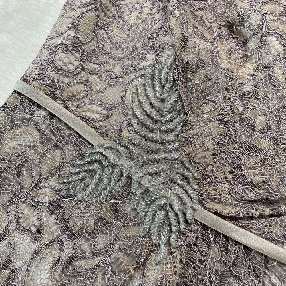 Zac Posen Truly Guipure Lace Sleeveless Special Occasion Dress in Gray Silver 2 - Picture 6 of 16